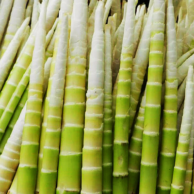 竹笋